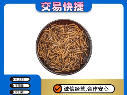 石棉县回收散虫草